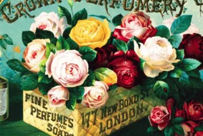 rosas