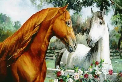 cavalo