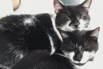 Buster and Missi