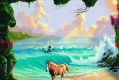 imagens