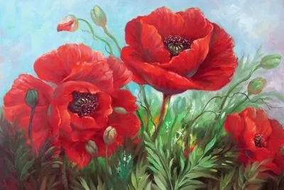 פאזל של amapolas