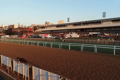 Early Morning at Racecourse jigsaw puzzle