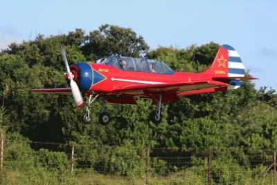Low flying Yak jigsaw puzzle