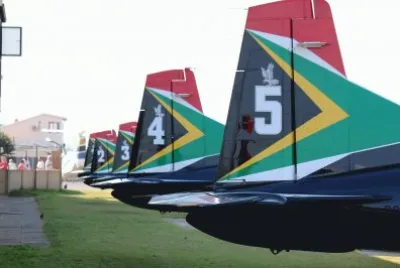 Falcons lined up jigsaw puzzle