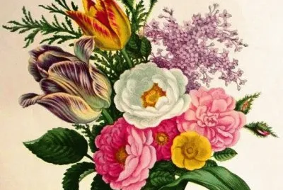 flor