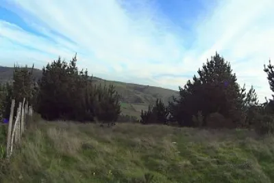 פאזל של Paisaje
