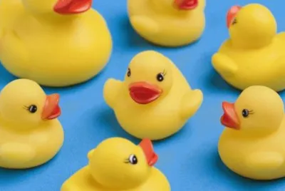 Patitos