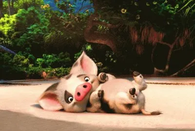 pua