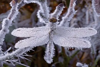 winter-141