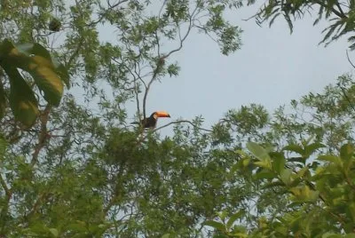 פאזל של tucÃ¡n