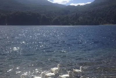 Lago Steffen. RÃ­o Negro. Argentina