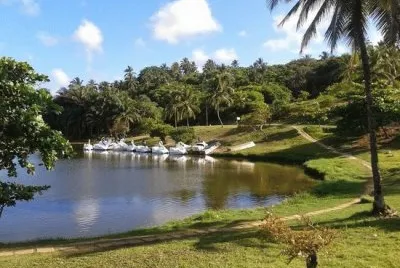 Geral jigsaw puzzle