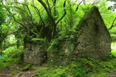 The Kerry Way walking path between Sneem and Kenma