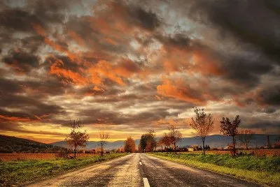 The journey