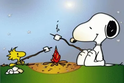 july31 jigsaw puzzle