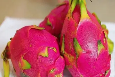 Dragon Fruit