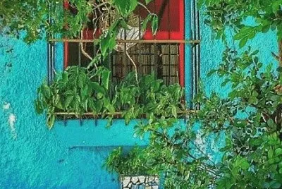 pared