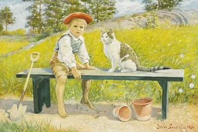 gato