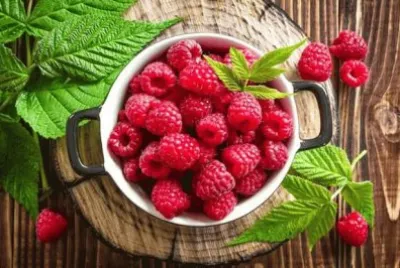 imagens jigsaw puzzle