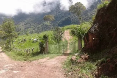 finca