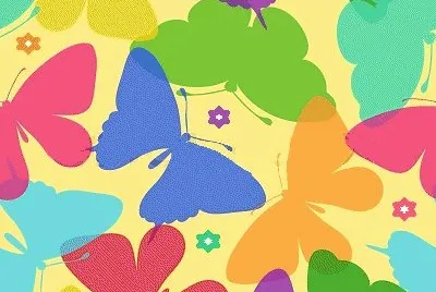 lily6