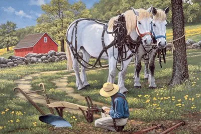 To the Fields