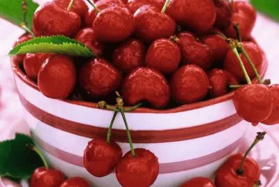 Obstschale