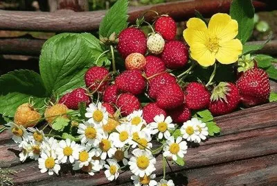 Obst