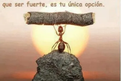 se fuerte