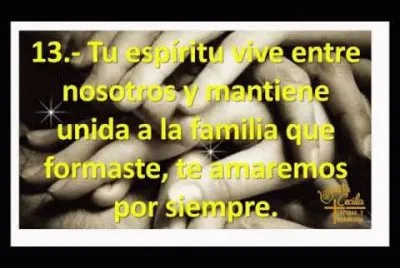 vive