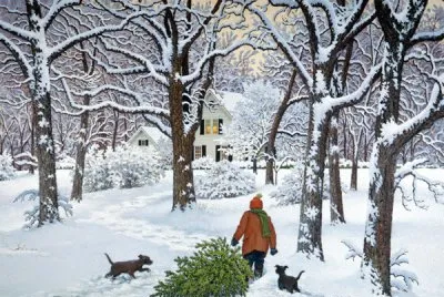 Bringing Home the Tree