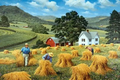 Hilltop Harvest