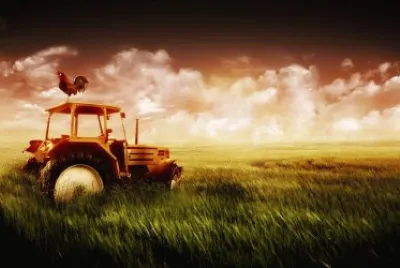 The_Old_Farm