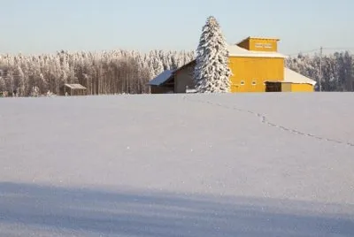 Nieve en Finlandia