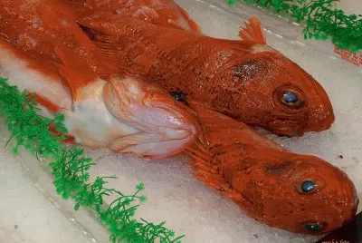 bilbao / Fishmarket