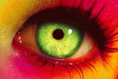 Colorful Insight