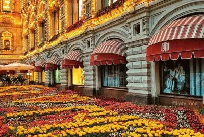 Festival de las flores-MoscÃº