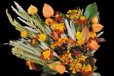 Blumen