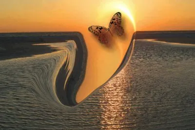 imagens