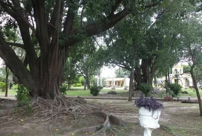 Santa Ana de los GuÃ¡caras. Corrientes. Argentina