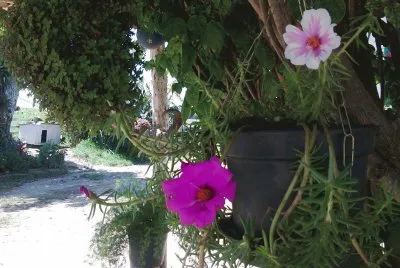 Onze Horas jigsaw puzzle