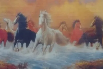 caballo