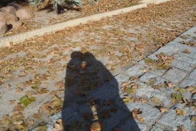 Madri