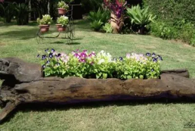 flores