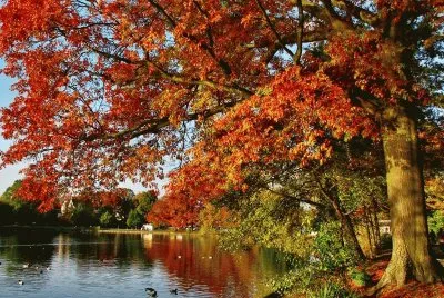 Landschaft jigsaw puzzle