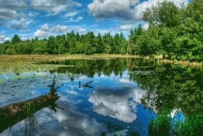 Landschaft