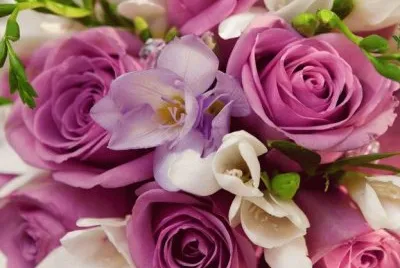 flores 10 jigsaw puzzle