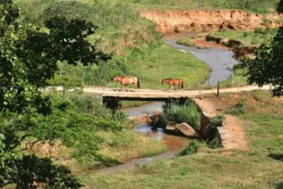 פאזל של Cavalos na ponte