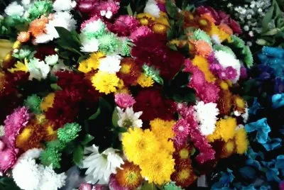 Luz de flores jigsaw puzzle