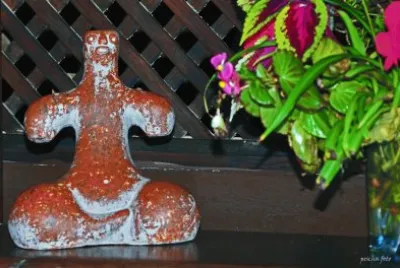 Tara